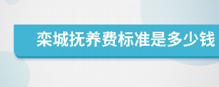 栾城抚养费标准是多少钱