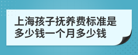 上海孩子抚养费标准是多少钱一个月多少钱