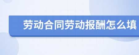 劳动合同劳动报酬怎么填