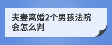 夫妻离婚2个男孩法院会怎么判