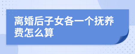 离婚后子女各一个抚养费怎么算
