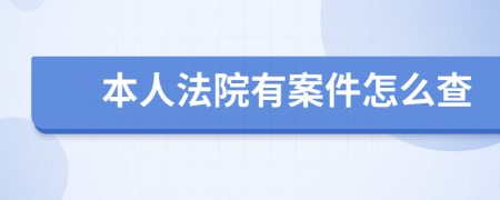 本人法院有案件怎么查