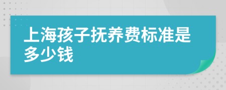 上海孩子抚养费标准是多少钱