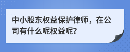 中小股东权益保护律师，在公司有什么呢权益呢？