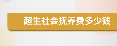 超生社会抚养费多少钱