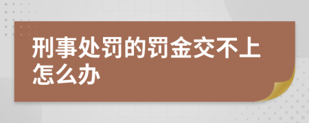 刑事处罚的罚金交不上怎么办