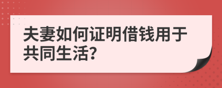 夫妻如何证明借钱用于共同生活？