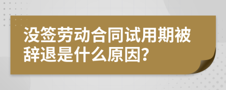 没签劳动合同试用期被辞退是什么原因？