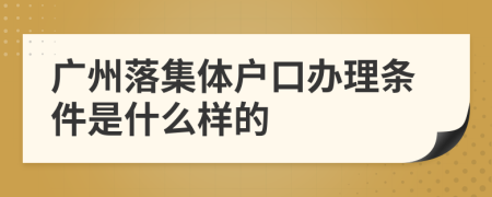 广州落集体户口办理条件是什么样的