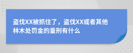 盗伐XX被抓住了，盗伐XX或者其他林木处罚金的量刑有什么