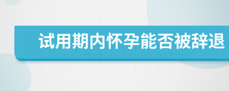 试用期内怀孕能否被辞退