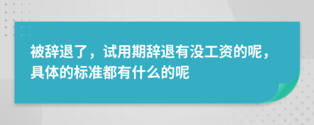 被辞退了，试用期辞退有没工资的呢，具体的标准都有什么的呢