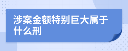 涉案金额特别巨大属于什么刑