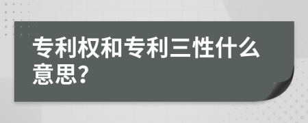 专利权和专利三性什么意思？
