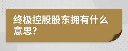 终极控股股东拥有什么意思？