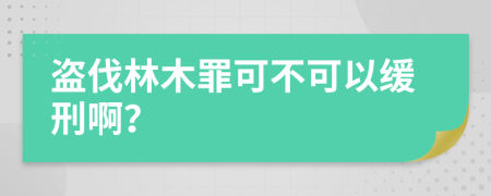 盗伐林木罪可不可以缓刑啊？