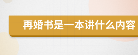 再婚书是一本讲什么内容