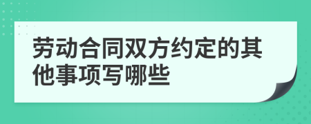 劳动合同双方约定的其他事项写哪些