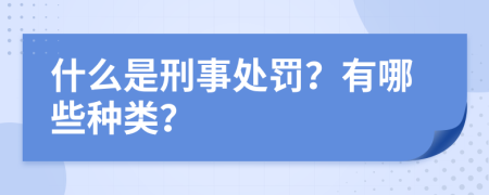 什么是刑事处罚？有哪些种类？