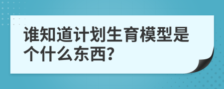 谁知道计划生育模型是个什么东西？