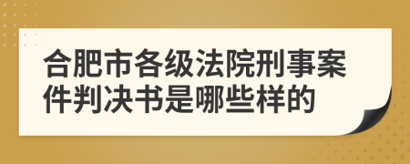 合肥市各级法院刑事案件判决书是哪些样的