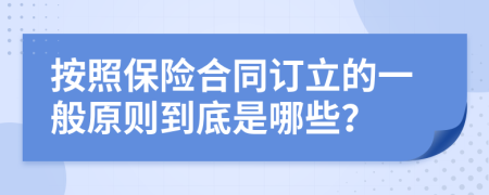 按照保险合同订立的一般原则到底是哪些？