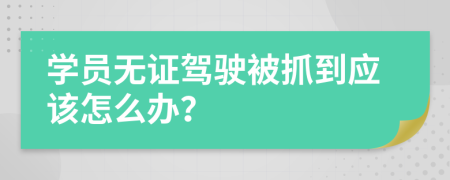 学员无证驾驶被抓到应该怎么办？