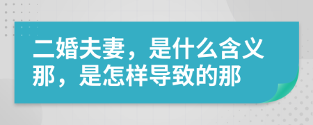 二婚夫妻，是什么含义那，是怎样导致的那