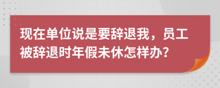 现在单位说是要辞退我，员工被辞退时年假未休怎样办？