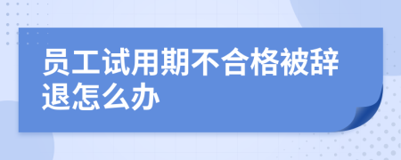 员工试用期不合格被辞退怎么办