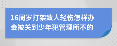 16周岁打架致人轻伤怎样办会被关到少年犯管理所不的