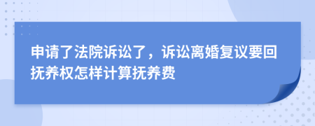 申请了法院诉讼了，诉讼离婚复议要回抚养权怎样计算抚养费