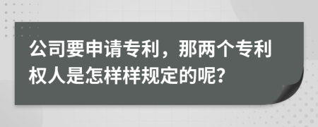 公司要申请专利，那两个专利权人是怎样样规定的呢？