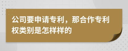 公司要申请专利，那合作专利权类别是怎样样的