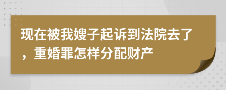 现在被我嫂子起诉到法院去了，重婚罪怎样分配财产