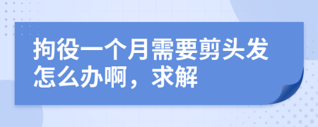 拘役一个月需要剪头发怎么办啊，求解