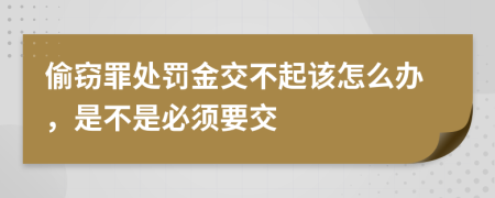 偷窃罪处罚金交不起该怎么办，是不是必须要交