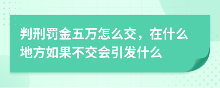 判刑罚金五万怎么交，在什么地方如果不交会引发什么