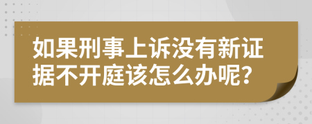 如果刑事上诉没有新证据不开庭该怎么办呢？