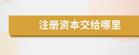 注册资本交给哪里