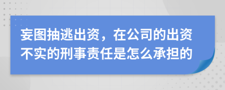 妄图抽逃出资，在公司的出资不实的刑事责任是怎么承担的