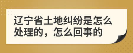 辽宁省土地纠纷是怎么处理的，怎么回事的