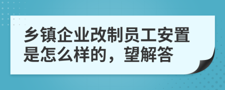 乡镇企业改制员工安置是怎么样的，望解答