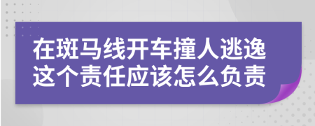 在斑马线开车撞人逃逸这个责任应该怎么负责