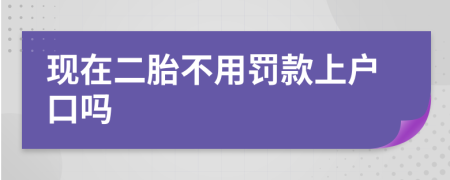 现在二胎不用罚款上户口吗