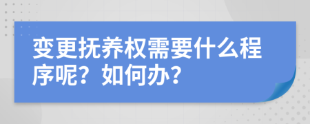 变更抚养权需要什么程序呢？如何办？