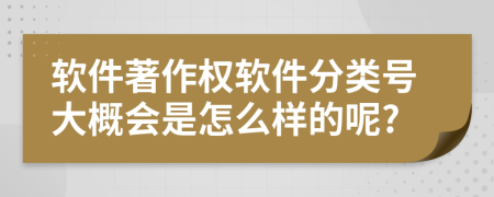 软件著作权软件分类号大概会是怎么样的呢?