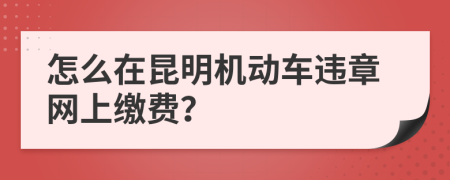 怎么在昆明机动车违章网上缴费？