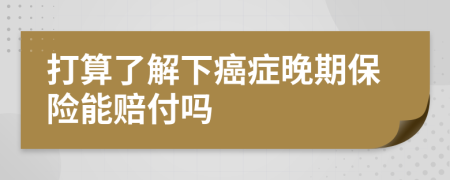 打算了解下癌症晚期保险能赔付吗