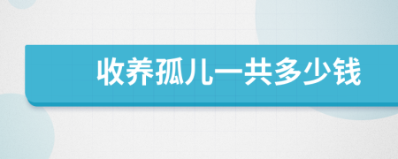 收养孤儿一共多少钱